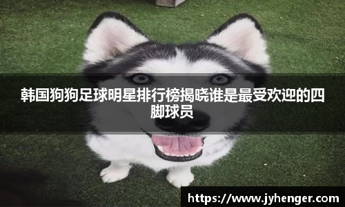 竞技宝